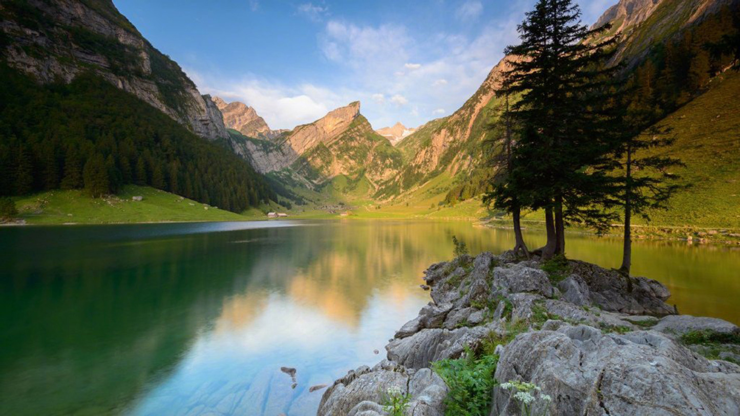 When you play the game of thrones, you win or you die. There is no middle ground.