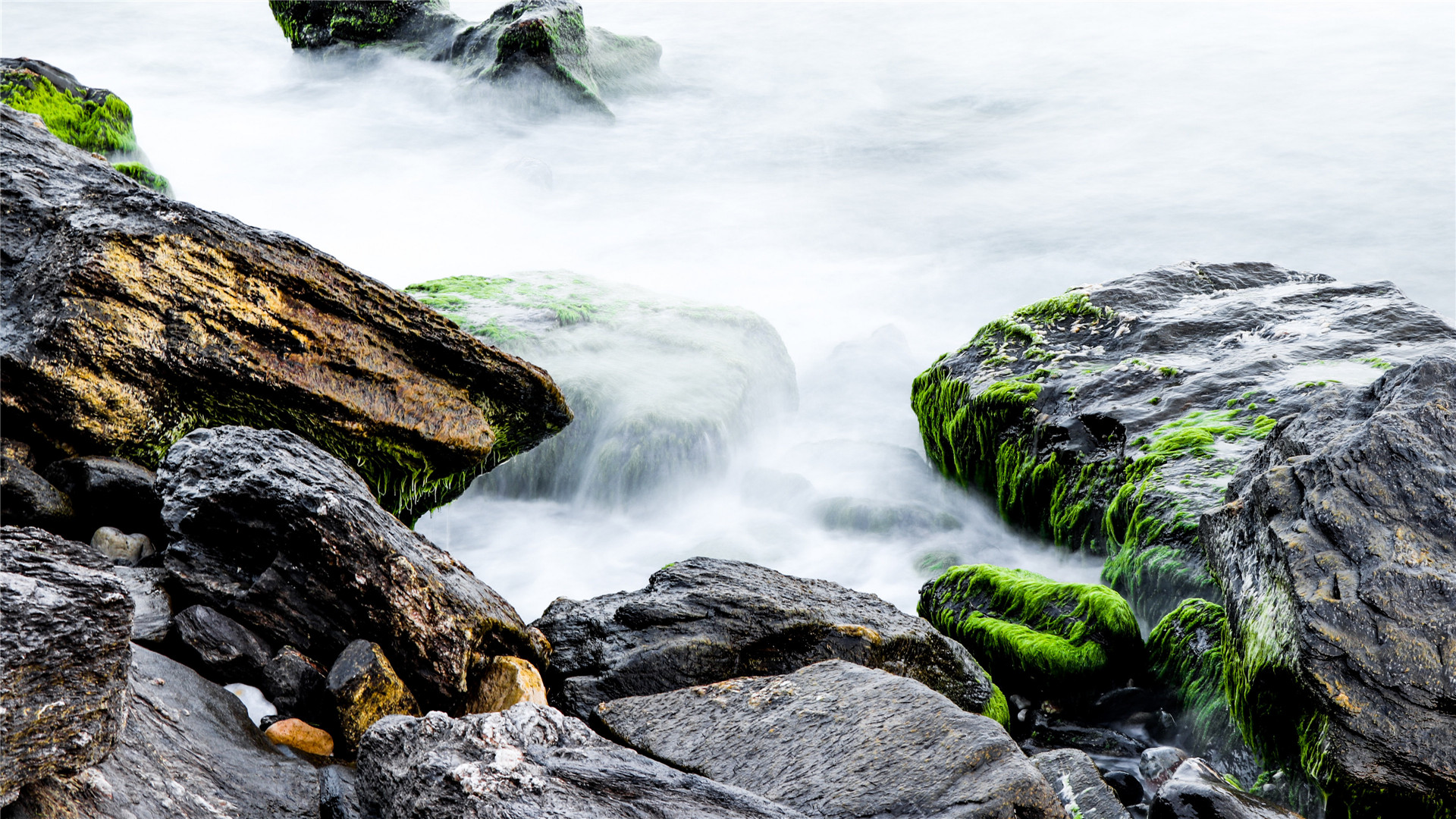 When you play the game of thrones, you win or you die. There is no middle ground.