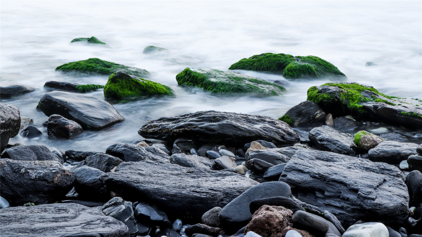 When you play the game of thrones, you win or you die. There is no middle ground.