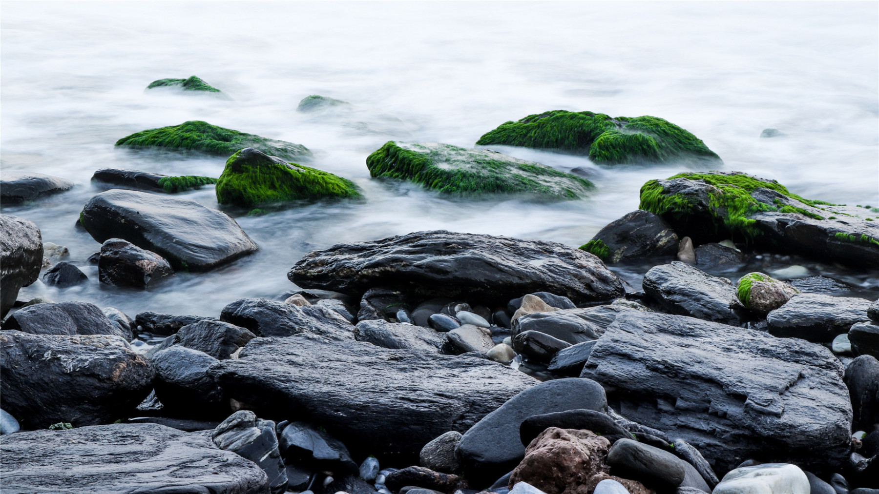 When you play the game of thrones, you win or you die. There is no middle ground.